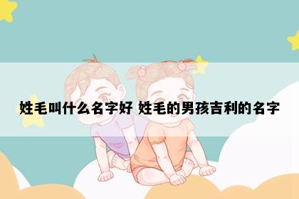 姓毛叫什么名字好 姓毛的男孩吉利的名字