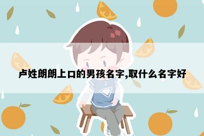 卢姓朗朗上口的男孩名字,取什么名字好